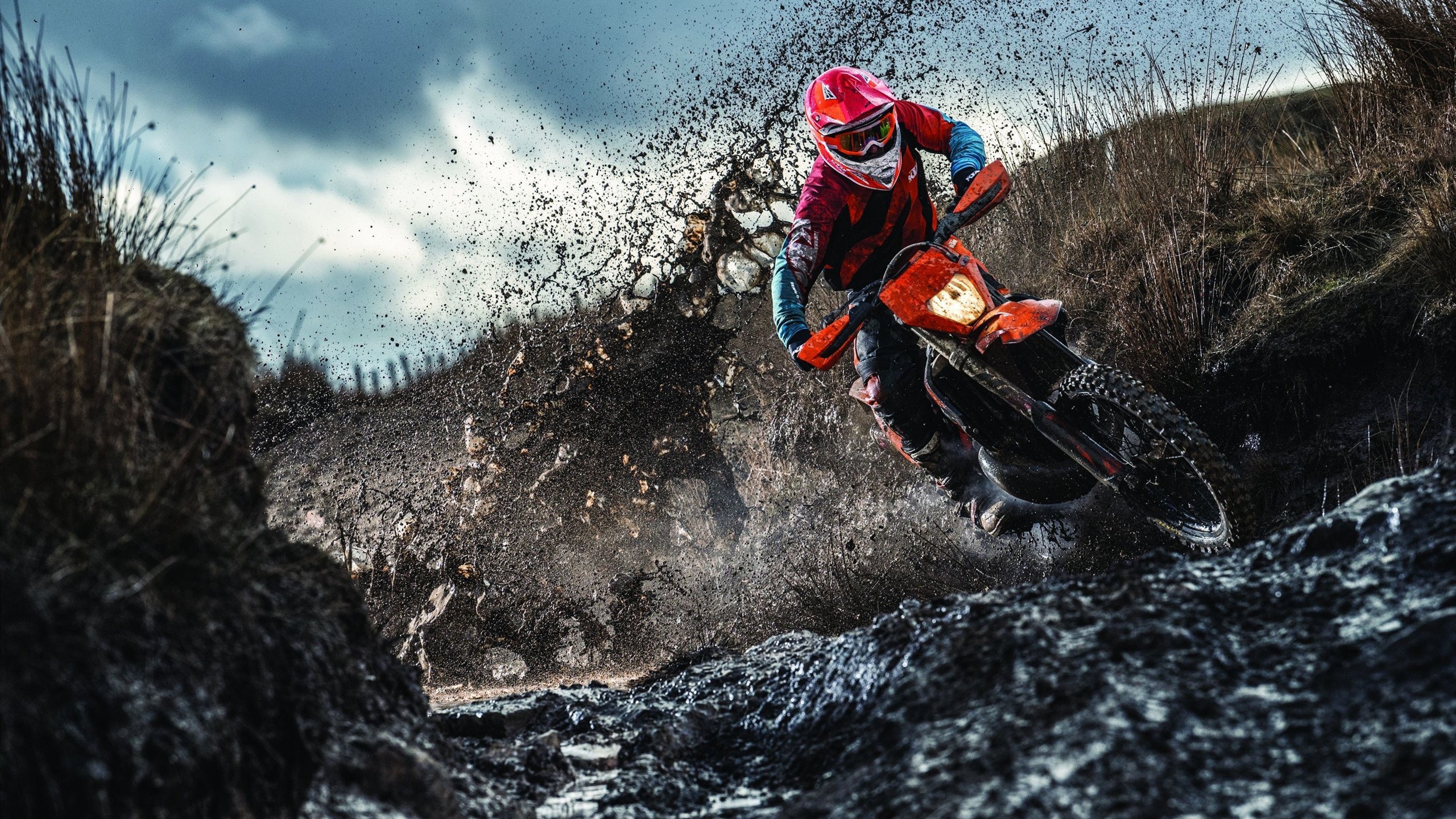 体育教育资源区域差异化发展策略研究，体育教学资源的开发